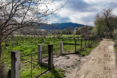 Terreno Agricola ou Rústico para Venda em Associação de Freguesias do Vale do Neiva