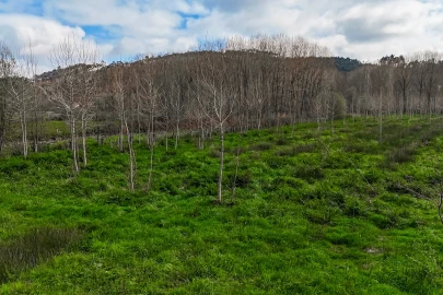 Terreno Agricola ou Rústico para Venda em Associação de Freguesias do Vale do Neiva