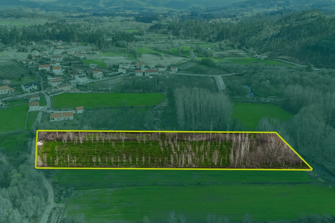 Terreno Agricola ou Rústico para Venda em Associação de Freguesias do Vale do Neiva Foto 6