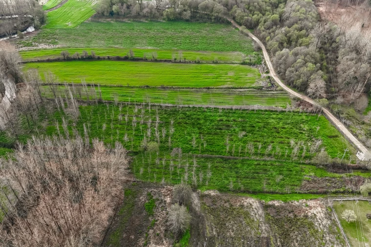 Terreno Agricola ou Rústico para Venda em Associação de Freguesias do Vale do Neiva Foto 11