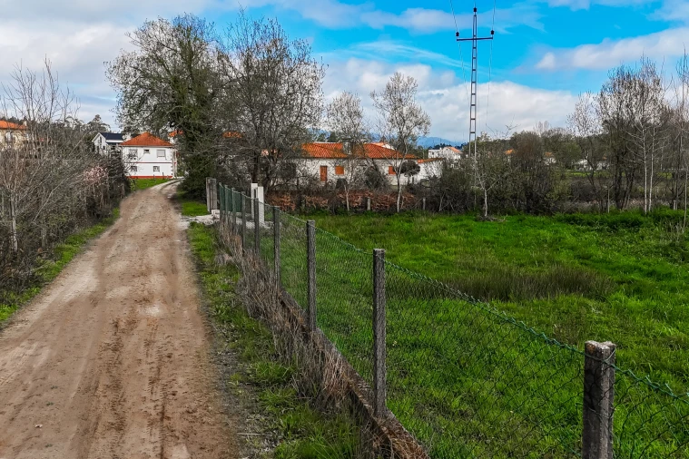 Terreno Agricola ou Rústico para Venda em Associação de Freguesias do Vale do Neiva Foto 19