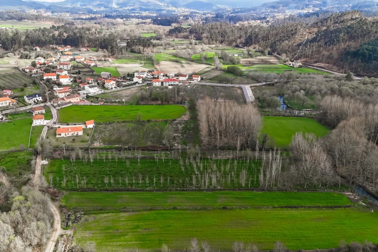 Terreno Agricola ou Rústico para Venda em Associação de Freguesias do Vale do Neiva Foto 7
