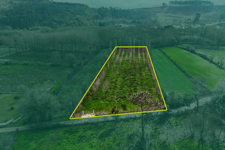 Terreno Agricola ou Rústico para Venda em Associação de Freguesias do Vale do Neiva Foto 4