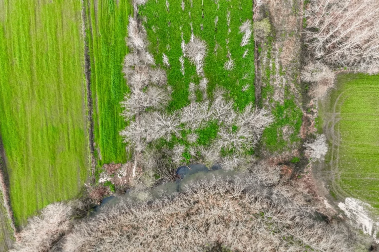 Terreno Agricola ou Rústico para Venda em Associação de Freguesias do Vale do Neiva Foto 10