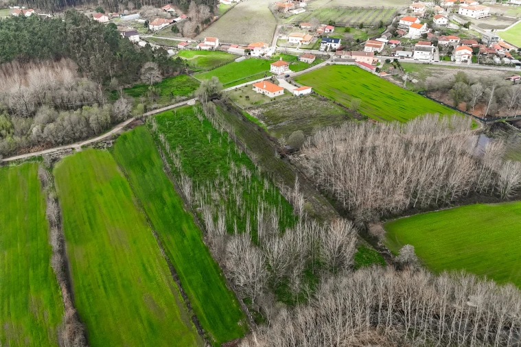 Terreno Agricola ou Rústico para Venda em Associação de Freguesias do Vale do Neiva Foto 9