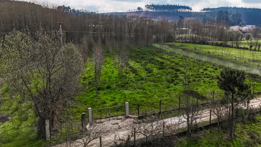 Terreno Agricola ou Rústico para Venda em Associação de Freguesias do Vale do Neiva