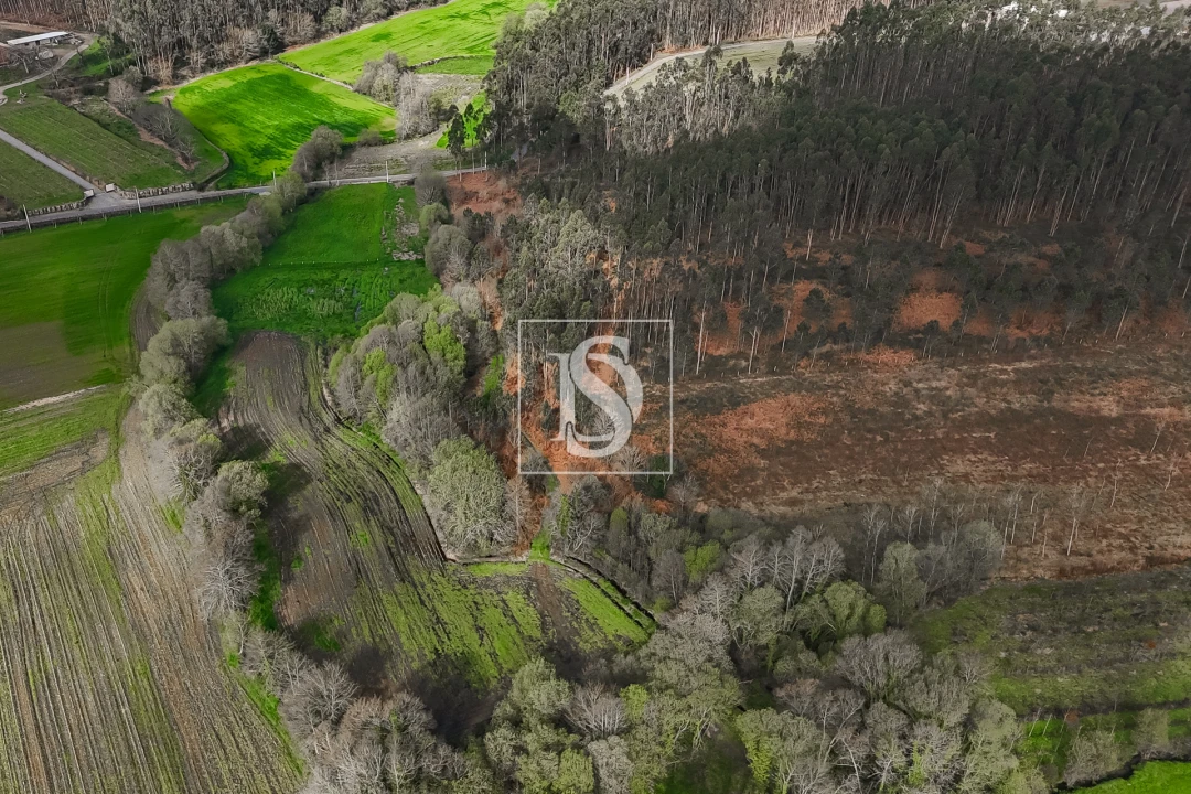 Terreno Agricola ou Rústico para Venda em Associação de Freguesias do Vale do Neiva Foto 8