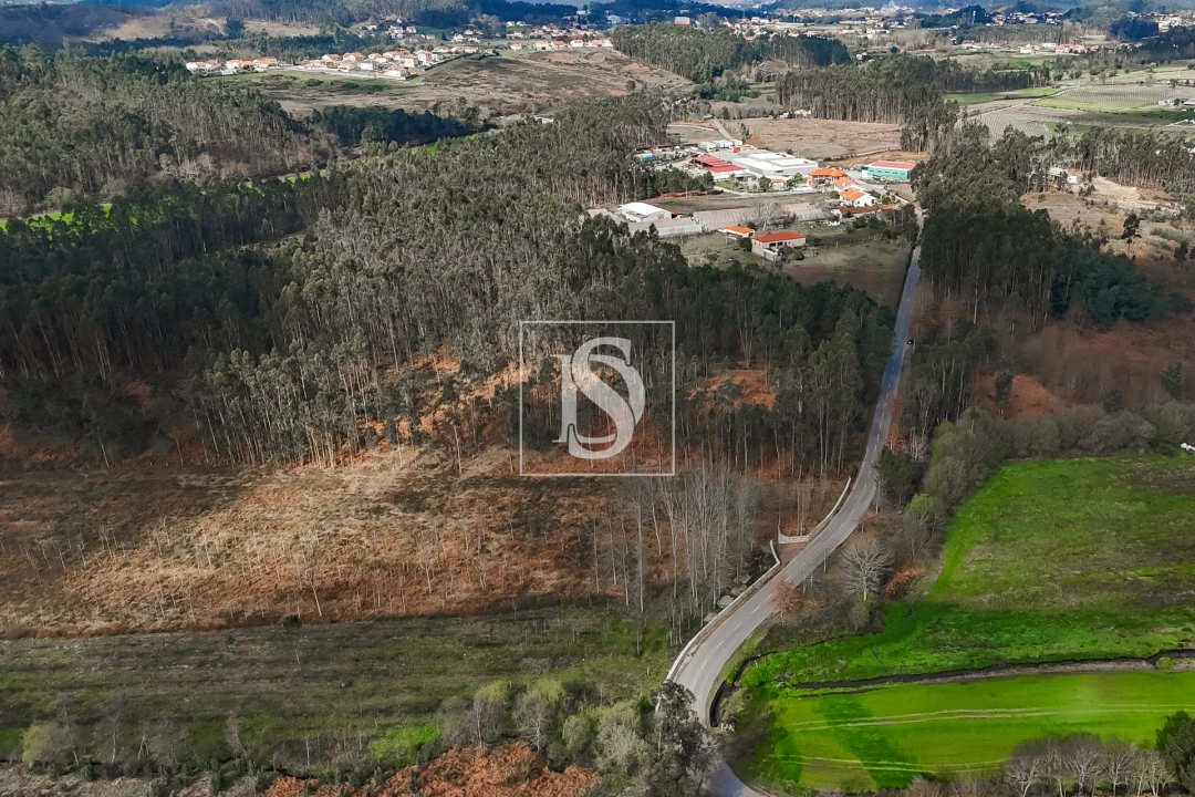 Terreno Agricola ou Rústico para Venda em Associação de Freguesias do Vale do Neiva Foto 13