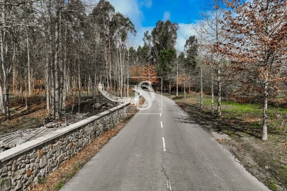 Terreno Agricola ou Rústico para Venda em Associação de Freguesias do Vale do Neiva