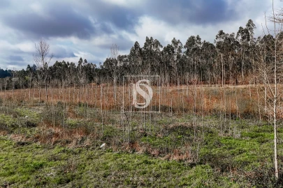 Terreno Agricola ou Rústico para Venda em Associação de Freguesias do Vale do Neiva