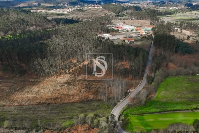 Terreno Agricola ou Rústico para Venda em Associação de Freguesias do Vale do Neiva
