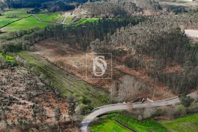 Terreno Agricola ou Rústico para Venda em Associação de Freguesias do Vale do Neiva