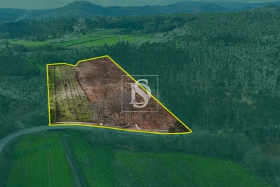 Terreno Agricola ou Rústico para Venda em Associação de Freguesias do Vale do Neiva
