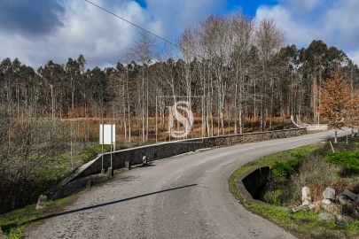 Terreno Agricola ou Rústico para Venda em Associação de Freguesias do Vale do Neiva