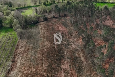 Terreno Agricola ou Rústico para Venda em Associação de Freguesias do Vale do Neiva