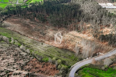 Terreno Agricola ou Rústico para Venda em Associação de Freguesias do Vale do Neiva