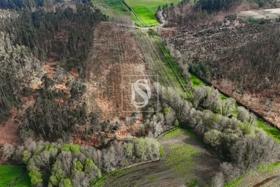 Terreno Agricola ou Rústico para Venda em Associação de Freguesias do Vale do Neiva