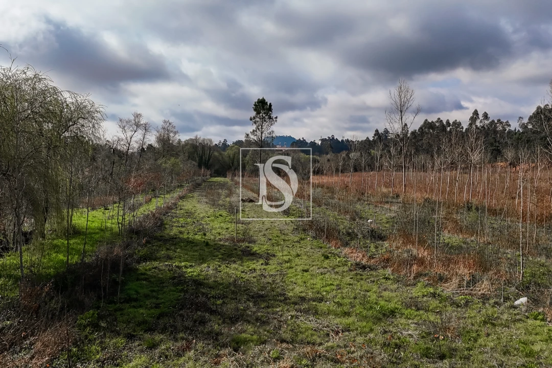 Terreno Agricola ou Rústico para Venda em Associação de Freguesias do Vale do Neiva Foto 24