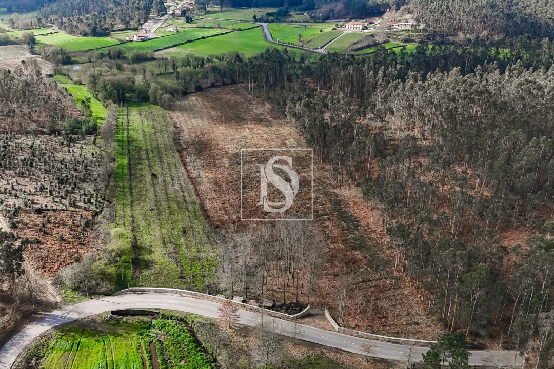 Terreno Agricola ou Rústico para Venda em Associação de Freguesias do Vale do Neiva Foto 16