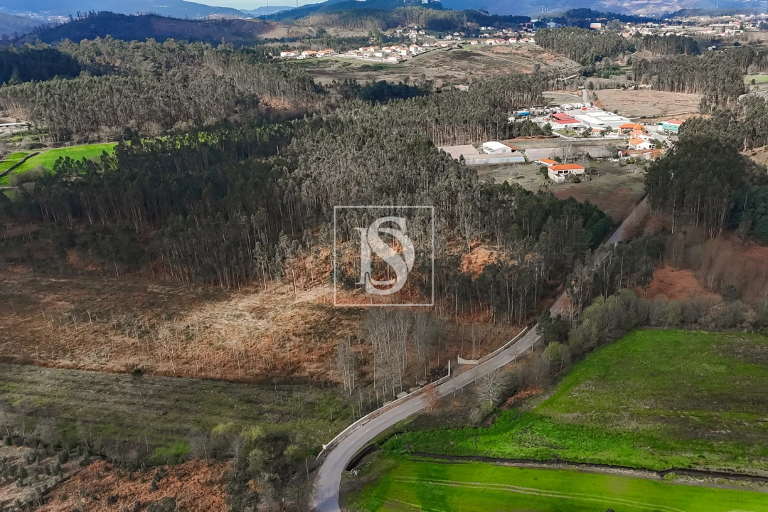 Terreno Agricola ou Rústico para Venda em Associação de Freguesias do Vale do Neiva Foto 12