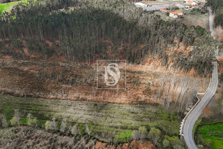 Terreno Agricola ou Rústico para Venda em Associação de Freguesias do Vale do Neiva Foto 9