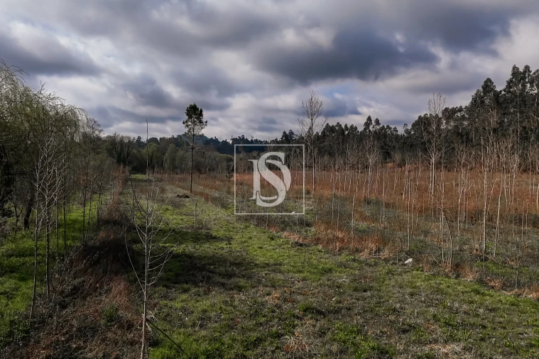 Terreno Agricola ou Rústico para Venda em Associação de Freguesias do Vale do Neiva Foto 23