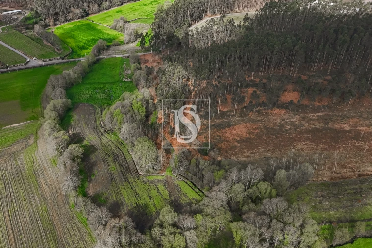 Terreno Agricola ou Rústico para Venda em Associação de Freguesias do Vale do Neiva Foto 8