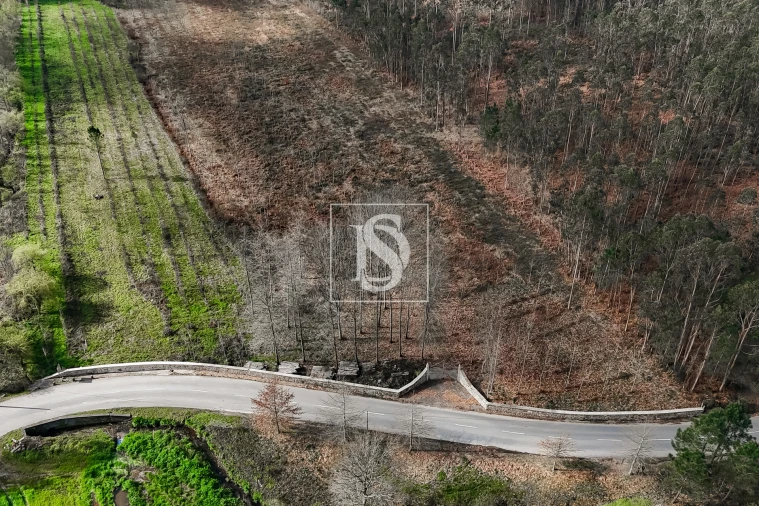 Terreno Agricola ou Rústico para Venda em Associação de Freguesias do Vale do Neiva Foto 17