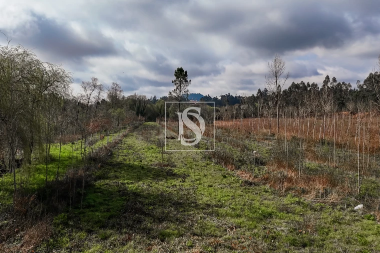 Terreno Agricola ou Rústico para Venda em Associação de Freguesias do Vale do Neiva Foto 24
