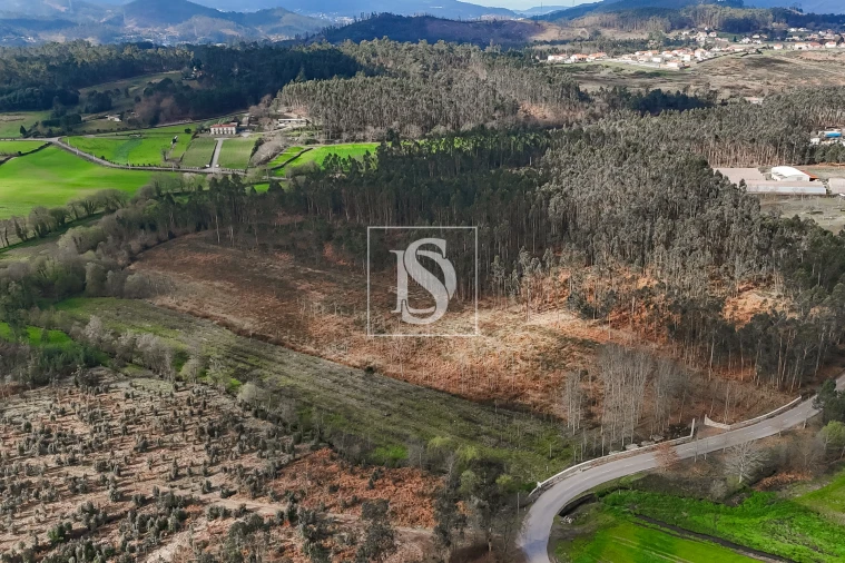 Terreno Agricola ou Rústico para Venda em Associação de Freguesias do Vale do Neiva Foto 11