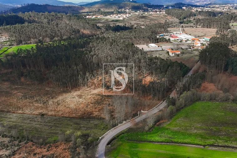 Terreno Agricola ou Rústico para Venda em Associação de Freguesias do Vale do Neiva Foto 12