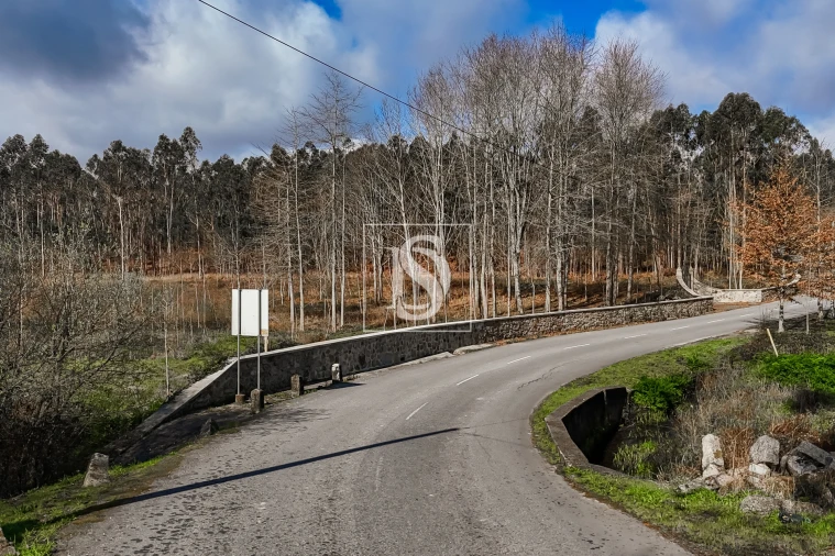 Terreno Agricola ou Rústico para Venda em Associação de Freguesias do Vale do Neiva Foto 21