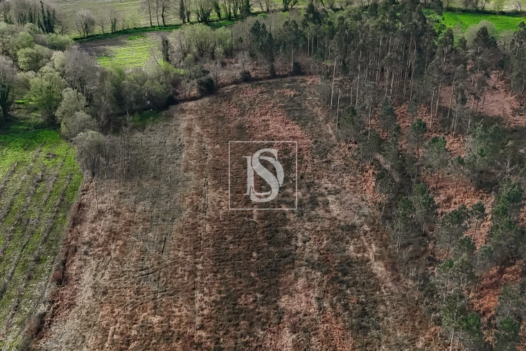Terreno Agricola ou Rústico para Venda em Associação de Freguesias do Vale do Neiva Foto 4