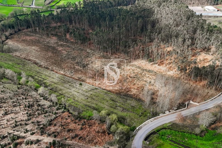 Terreno Agricola ou Rústico para Venda em Associação de Freguesias do Vale do Neiva Foto 10