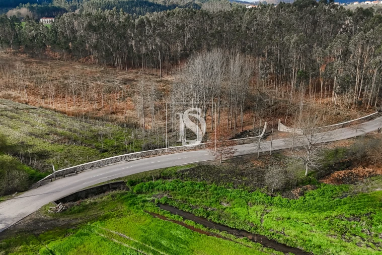 Terreno Agricola ou Rústico para Venda em Associação de Freguesias do Vale do Neiva Foto 19