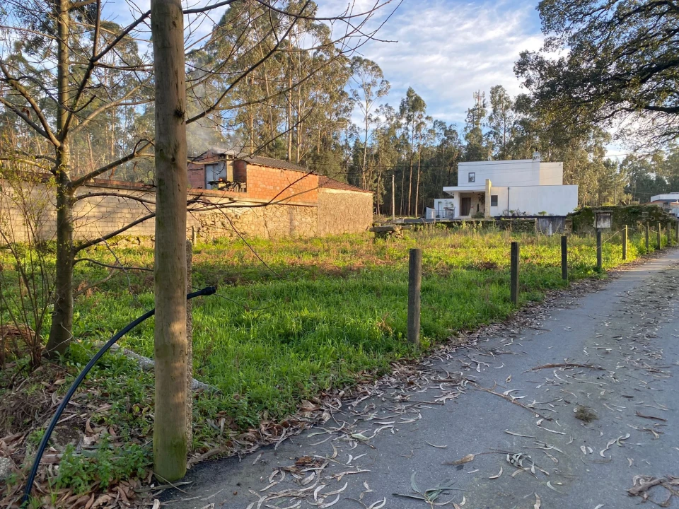 Terreno para Venda em Vila Cova e Feitos Foto 8