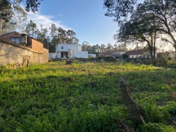 Terreno para Venda em Vila Cova e Feitos