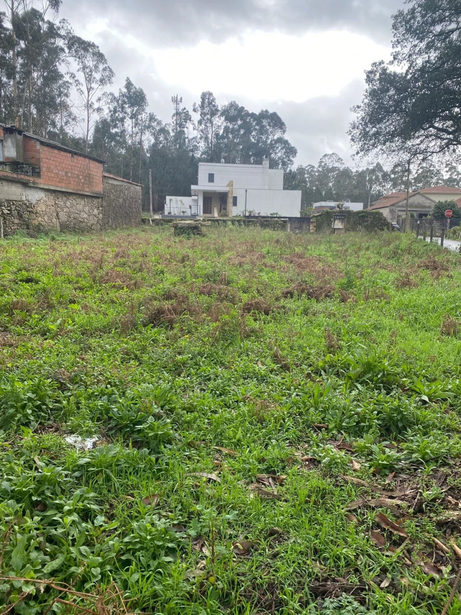 Terreno para Venda em Vila Cova e Feitos Foto 5