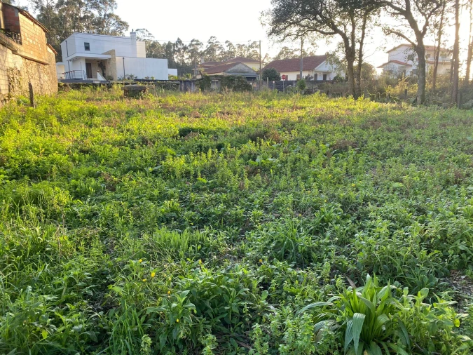 Terreno para Venda em Vila Cova e Feitos Foto 10
