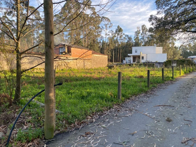 Terreno para Venda em Vila Cova e Feitos Foto 8