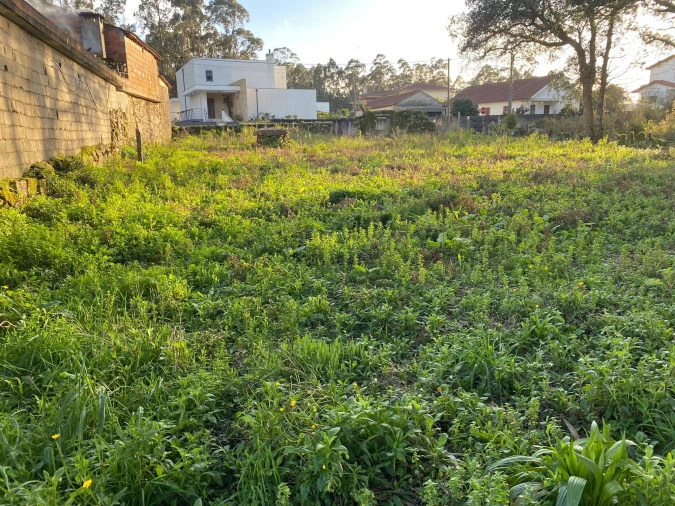 Terreno para Venda em Vila Cova e Feitos Foto 15