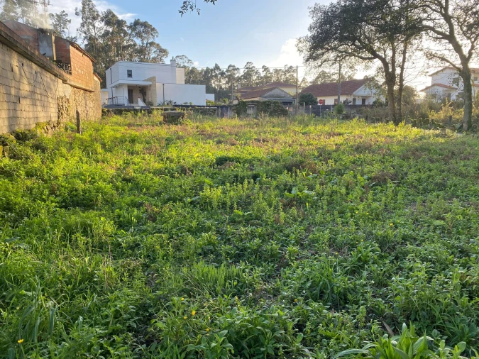 Terreno para Venda em Vila Cova e Feitos Foto 14