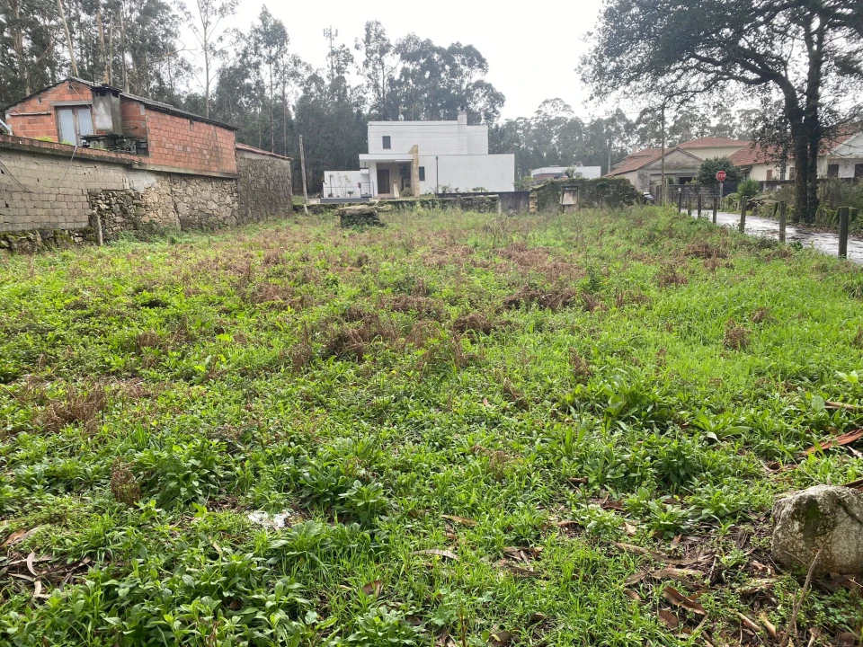 Terreno para Venda em Vila Cova e Feitos Foto 3