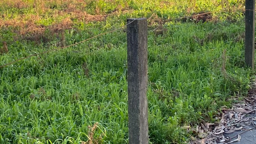 Terreno para Venda em Vila Cova e Feitos