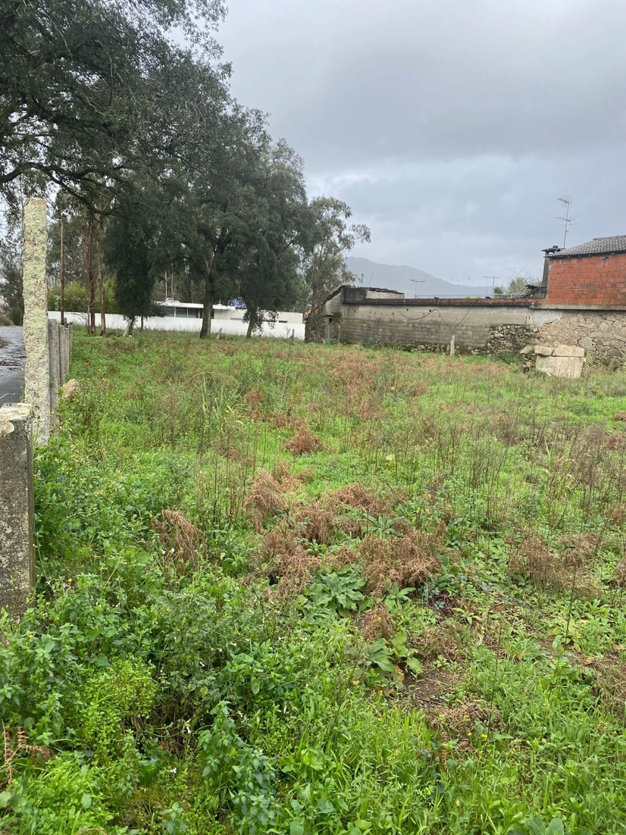 Terreno para Venda em Vila Cova e Feitos Foto 6