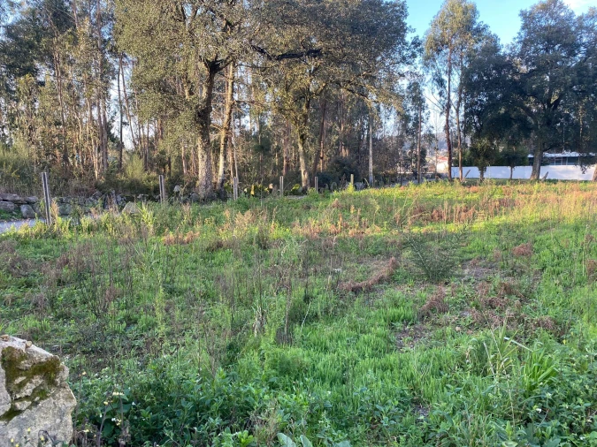 Terreno para Venda em Vila Cova e Feitos Foto 13