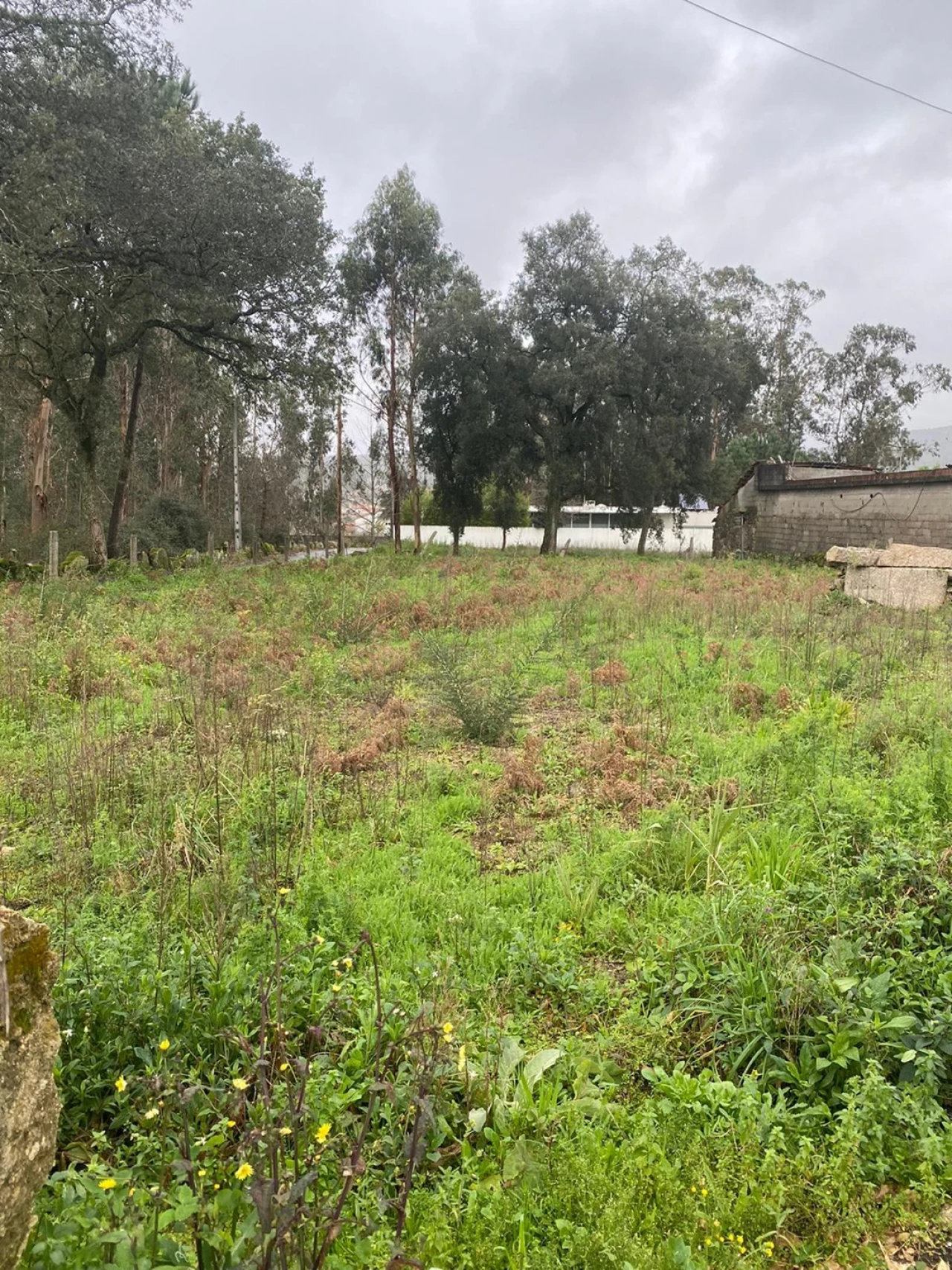 Terreno para Venda em Vila Cova e Feitos Foto 3