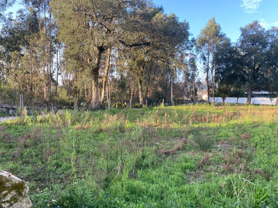 Terreno para Venda em Vila Cova e Feitos Foto 14