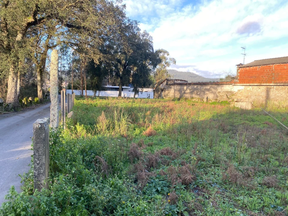 Terreno para Venda em Vila Cova e Feitos Foto 10