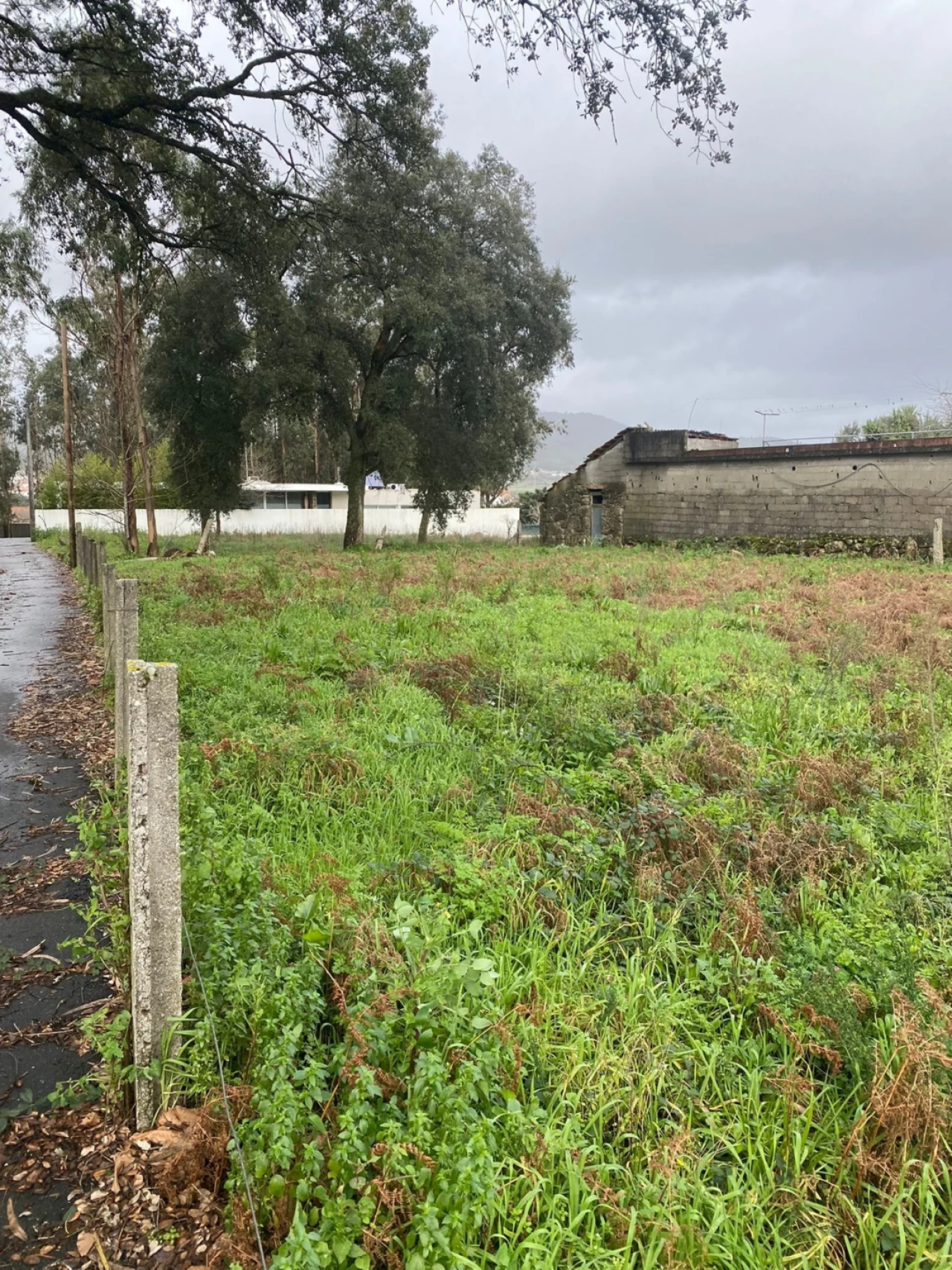 Terreno para Venda em Vila Cova e Feitos Foto 5